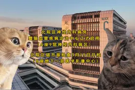山东大学第二医院脑血管疾病诊疗中心开诊 打造国家级卒中中心视频封面