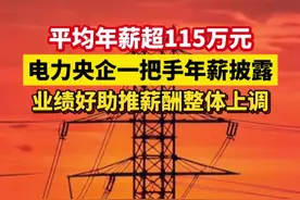 平均年薪超115万元 电力央企“一把手”年普遍涨薪！ 视频封面