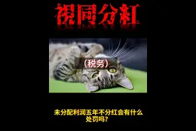 未分配利润五年不分红会有什么处罚吗？视频封面