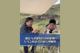 驯化马对游牧经济的影响，人马之间是可以相互理解的（《瞭望》 刘娟   方舟重洋 谭覃 刘佳璇  实习生 张齐航 王浩昆）#与辉同行 #董宇辉 #与辉同行新疆行视频封面