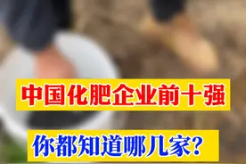 复合肥前十强企业，你都知道哪些？#化肥 #农资肥料 #农业 #三农服务 #农业技术推广视频封面