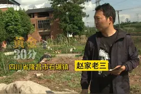 四川隆昌市石碾镇，赵家三兄弟外出三年未归，2023年底回家却发自家祖宅不翼而飞，取而代之的邻居修建的豪华别墅。邻居拿出一张空白协议，称已经给了三万元补偿过了赵家大哥。视频封面