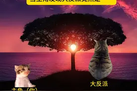 当主角发现大反派竟然是最亲近的人…… #猫meme #猫meme日常视频封面