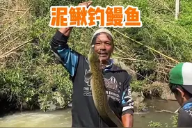 从来没有见过这么牛逼的钓鱼方式，渔民用泥鳅作饵竟钓上来大鳗鱼视频封面
