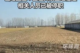 “河南一村庄20亩麦苗被铲除”？当地回应：正在开展土地治理，相关人员已被停职视频封面