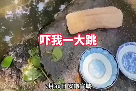 #安徽宣城 村民池塘边洗碗偶遇鳄鱼，淡定拍摄还劝它走开，知情者：隔段时间会出现，大家见怪不怪。 视频封面