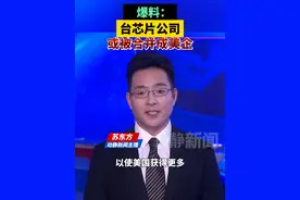 爆料：台芯片公司或被合并成美企视频封面