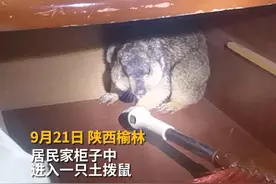 班长，你最后说的到底是啥？是害怕了吗？#消防队的欢乐时光 #出警现场 #方言视频封面