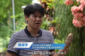 陈修宇：带领村民念起特色产业“致富经” #主题教育 #海南视频封面