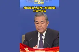#台湾在联合国唯一称谓就是中国台湾省视频封面