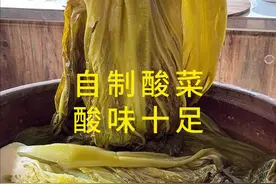 自制酸菜 奶奶用了四十多年腌酸菜的方法，又酸又脆，无添加，做法非常简单，今天我把这个方法分享给你们##农村美食 #无盐酸菜 #纯天然无添加 #把家乡的味道分享给大家 #新农人计划2025视频封面