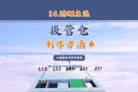 锦鲤鱼池拔管仓过滤原理及制作方法 #鱼池过滤器水循环系统视频封面