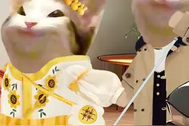 五年啦，你还要瞒我多久 （原声 ）#cheems小剧场 #内容启发搜索视频封面