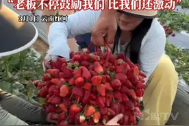 草莓68一筐，装多少拿多少，女子一口气装了27.4斤！“老板不停鼓励我们，我们这么一大兜，老板比我们还激动！”视频封面