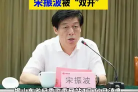 啉咻咻🌼:
[视频]

啉咻咻🌼:
【违规决策，致使国家利益遭受重大损失 淄博市委原常委，市政府原党组副书记、副市长宋振波被“双开”】（剪辑 李晓琳）据山东省纪委监委网站4月22日消息，经山东省委批准，山东省纪委监委对淄博市委原常委，市政府原党组副书记、副市长宋振波严重违纪违法问题进行了立案审查调查。宋振波构成严重职务违法并涉嫌受贿、滥用职权犯罪，且在党的十八大后不收敛、不收手，性质严重，影响恶劣，应予严肃处理。依据相关规定，决定给予宋振波开除党籍处分；由山东省监委给予其开除公职处分；终止其山东省第十二次党代会代表、淄博市第十三次党代会代表资格；收缴其违纪违法所得；将其涉嫌犯罪问题移送检察机关依法审查起诉，所涉财物一并移送。#反腐倡廉 #打虎拍蝇视频封面