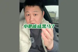 小鹏能成为新势力黑马？ #小鹏 #理想 #销量视频封面