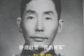 他是我党的“特殊党员”卧底将军，卧底敌营20余年人称佩剑将军视频封面