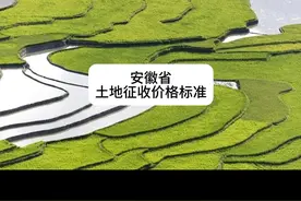 安徽省土地征收标准公布 2024年
#三农 #土地征收 #农村生活视频封面