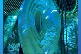 上海之巅的阻尼器重达1000吨，在各种天气下都能时时守护着上海中心大厦，同时还能上才艺，通过特别的光影秀表演，仿佛在与自然界进行着一场光影的对话。（资料：新民晚报）视频封面