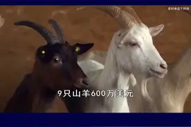 马斯克查账五角大楼，剑指美军贪腐，万亿军费谁在背后数钱？ #抖音热评 #马斯克视频封面