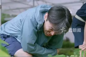 云南的跳舞草有多傲娇？连胡歌唱歌都不给面子#有一种叫云南的生活    #美好生活在云南   #旅居云南样样好视频封面