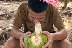 这个方法学废了吗、 #海南人必备技能 #开椰子  #我的乡村生活视频封面
