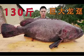 130斤巨大龙趸，全村人吃嗨了！ #石斑鱼 #龙趸 #美食家的朋友圈视频封面