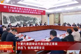 宁夏代表团审议代表法修正草案 3月7日下午视频封面