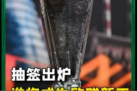 谁将成为欧联新王？23/24赛季欧联1/4决赛抽签结果出炉！#欧联杯八强#欧联四分之一决赛抽签结果出炉视频封面