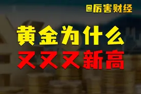 【厉害】黄金为什么新高：央妈增持，神秘买家，保险入场！ 1月视频封面