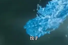 哪吒之魔童闹海导演饺子透露，敖光差点被设计成鳌拜的样子，长得帅只因网友一句话#哪吒 #敖丙 #敖光视频封面