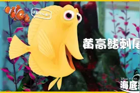 观赏鱼-黄金吊的养鱼技巧，黄金吊属于好养的海水鱼！#海底世界视频封面