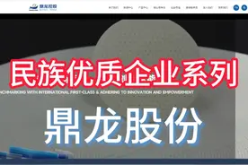 高端材料国产替代的抗日先锋 #鼎龙股份 #半导体国产替代 #光刻胶视频封面