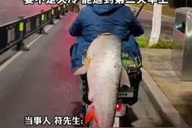 男子钓到56斤鳡鱼"巡街"炫耀，当事人: 逛了近5个小时，人多的地方都转了视频封面