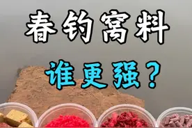 春季钓鱼窝料怎么选，对比测试让你一次看明白 #钓鱼测试视频封面
