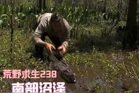 徒手抓凶猛鳄鱼，生吃巨型鲶鱼。打野专家可真牛啊 #荒野求生视频封面