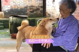 老祖宗的严选主打一个不骗人 #搞笑 #离谱 #奇葩 #整活视频封面