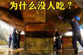 谁能想到海上归来的货轮，船底竟然藏着十几吨的海鲜？这些海鲜为什么没人吃呢？ #藤壶 #藤壶清理 #货轮 #船舶 #航运视频封面