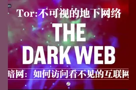 (中字)访问地下网络:如何通过洋葱路由进入暗网 #暗网 #深网