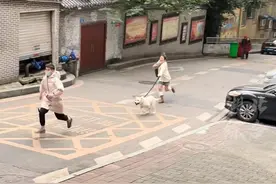 狗子拖着女主人狂追帅哥，只因对方跟#铲屎官穿同款棉衣。后续来了！当事人：已添加小哥哥好友沟通交流@抖音短视频 视频封面