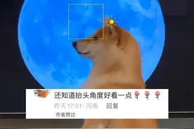 主人在电视上投屏月亮，狗狗乖巧站在电视机柜上配合拍照，网友：天狗食月的场景在这一刻具象化了！#天狗食月  #中秋视频封面