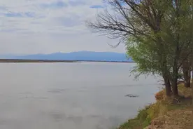 包头小众的露营地，黄河边上的美景，开车只要一小时视频封面
