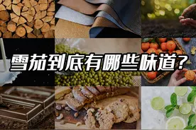 雪茄到底有哪些味道？列举18种雪茄口味，你尝到了几种？视频封面