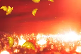 长垣市南蒲街道金寨村星级文明户审核视频封面