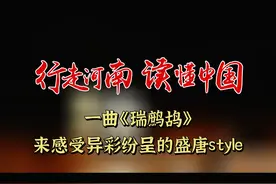【行走河南·读懂中国】一曲《瑞鹧鸪》，来感受异彩纷呈的盛唐style。#行走河南读懂中国 #河南博物院 #老家河南新媒体矩阵 视频封面
