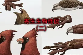 寄生生物第二期来了， 你们敢看完最后一个吗？ #奇闻怪谈视频封面