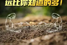 治疗肺结核的链霉素是从土壤中发现的~#三农小知识 #2023中国农民丰收节 #丰收中国