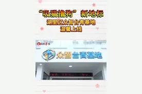 “吸猫撸狗”新地标，湖里区众智台青基地温馨上线视频封面