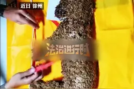 "宠物独行 出现意外" 438元买的"宠物独行"服务
计划5小时独行变拼车20小时致死
狗主索赔2500 哈啰：赔300
（编辑：小韩）
