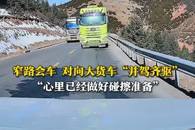 3月28日（采访），318国道芒康段，魏先生自驾出游，翻过垭口后发现对向两辆大车“并驾齐驱”。魏先生：当时心里已经做好碰擦准备，那15秒感觉挺漫长。视频封面